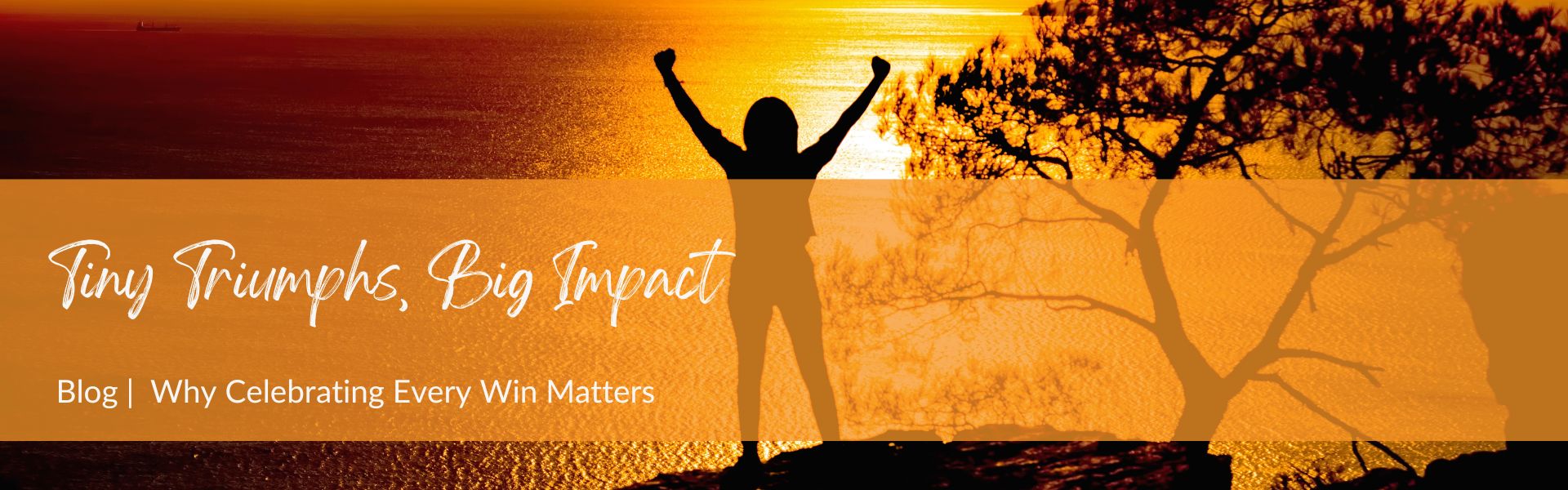 Blog - tiny Triumphs